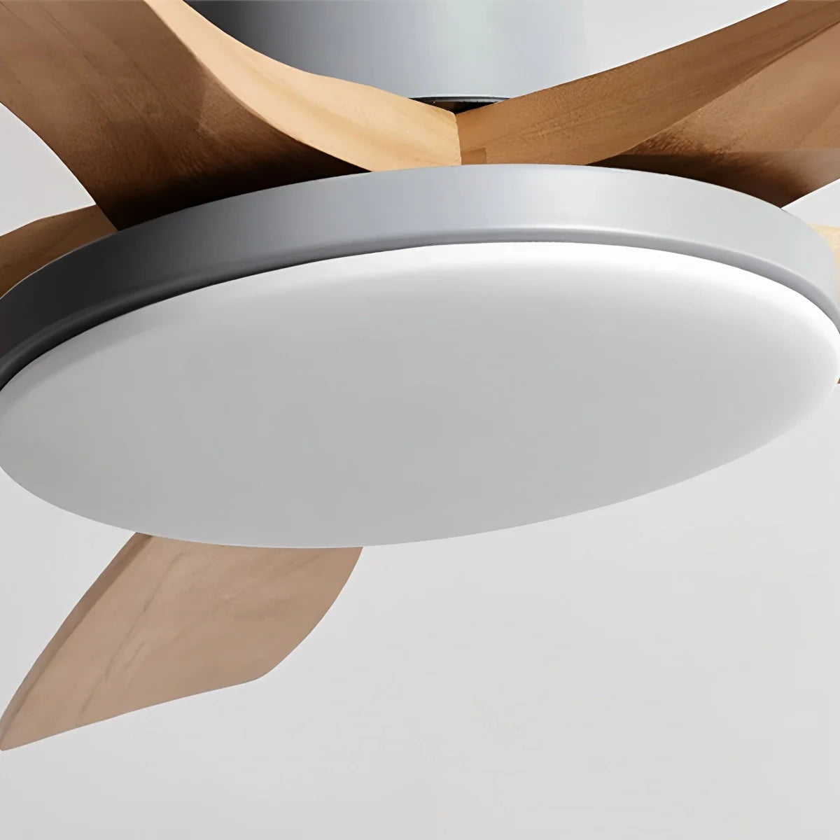 Eloer Minimalist Ceiling Fan with Light for Living Room