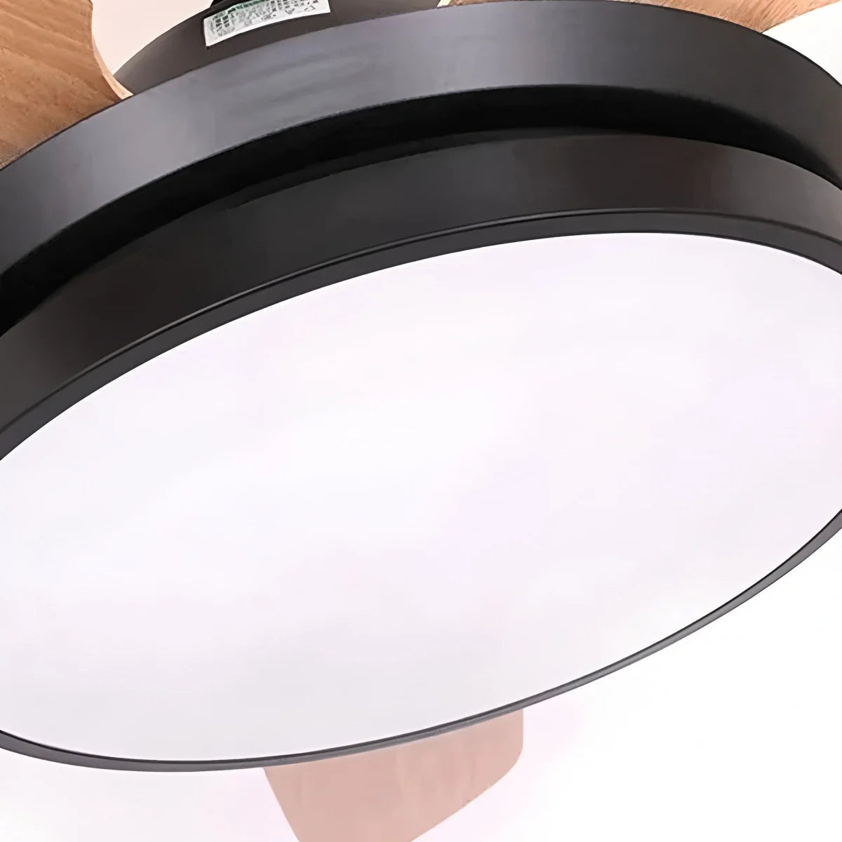 Eloer 5 Blade Ceiling Fan Light for Living Room