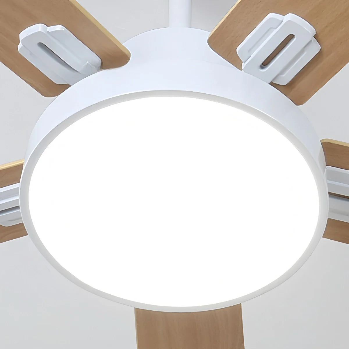 Eloer 5 Blade Vintage Ceiling Fan Light for Living Room