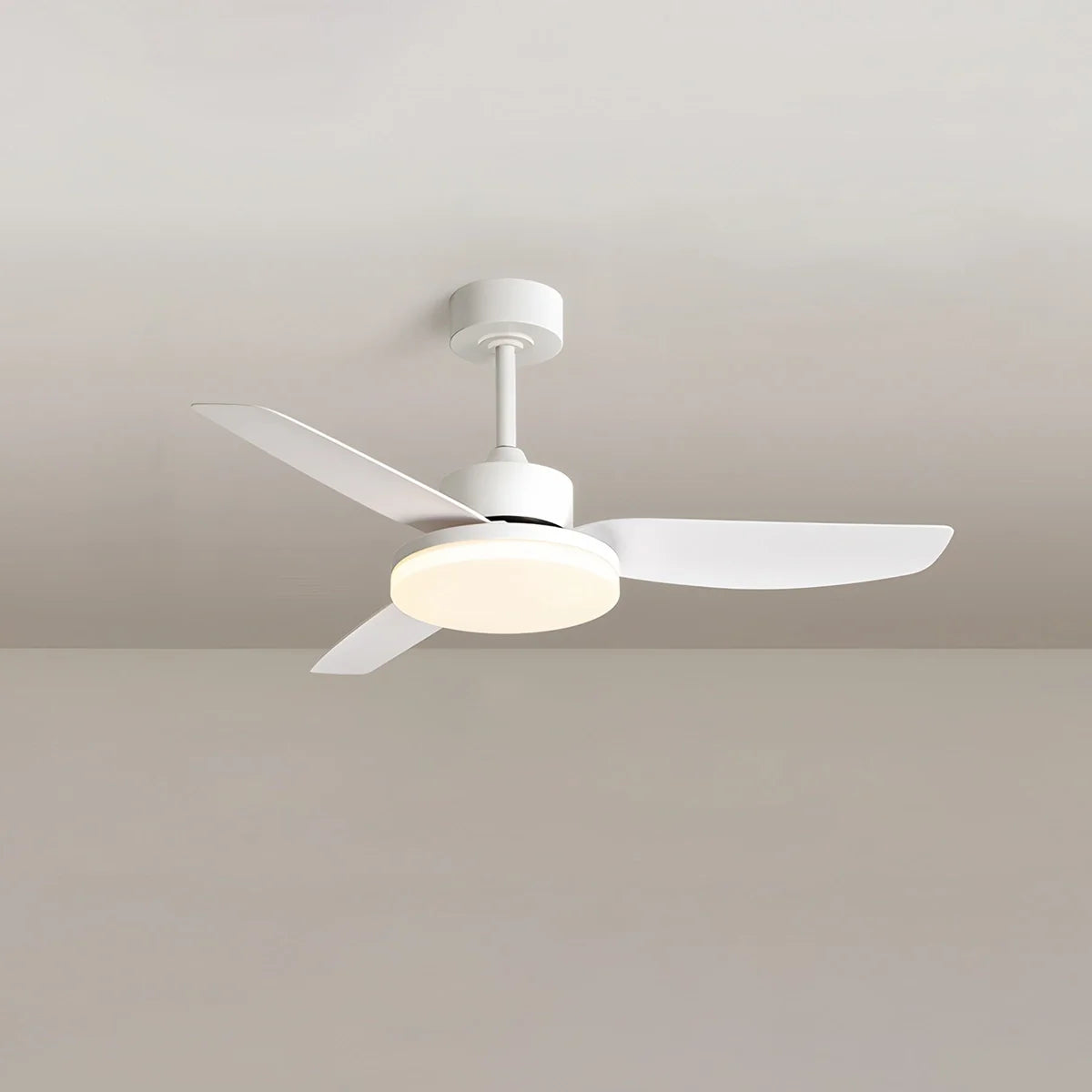 Eloer White Remote Control Ceiling Fan Light