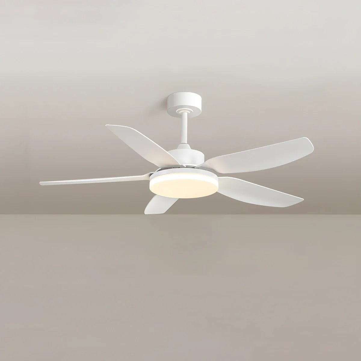 Eloer White Remote Control Ceiling Fan Light