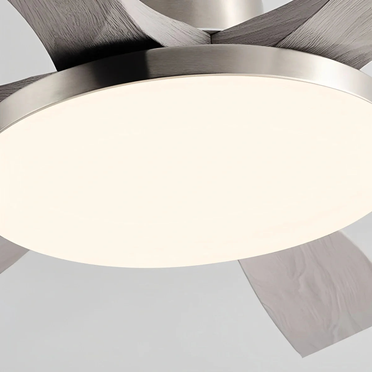 Eloer Living Room 6-Leaf Ceiling Fan Light