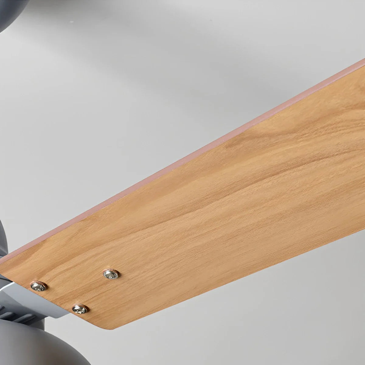 Eloer Modern Minimalist Three Leaf Ceiling Fan Light