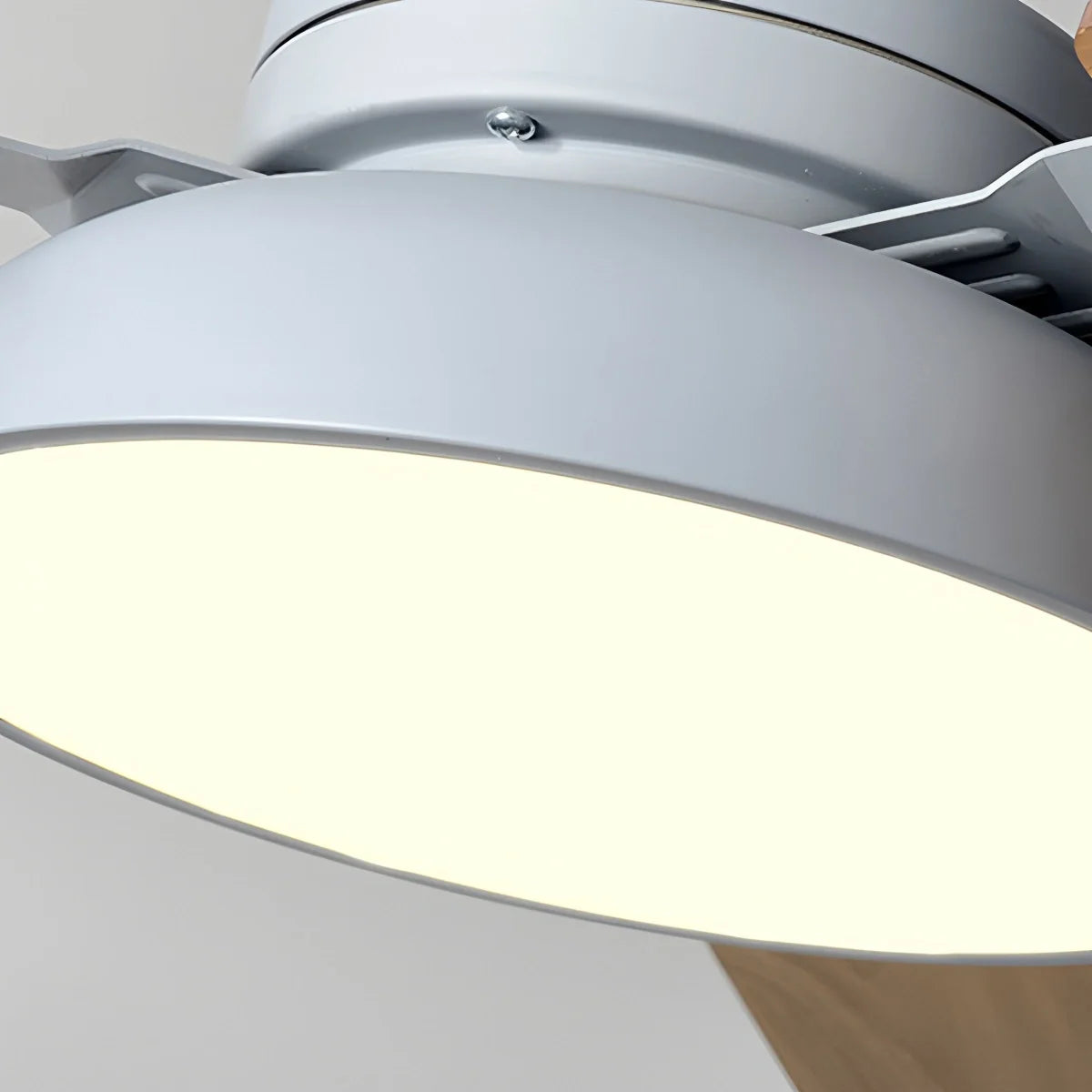 Eloer Modern Minimalist Three Leaf Ceiling Fan Light