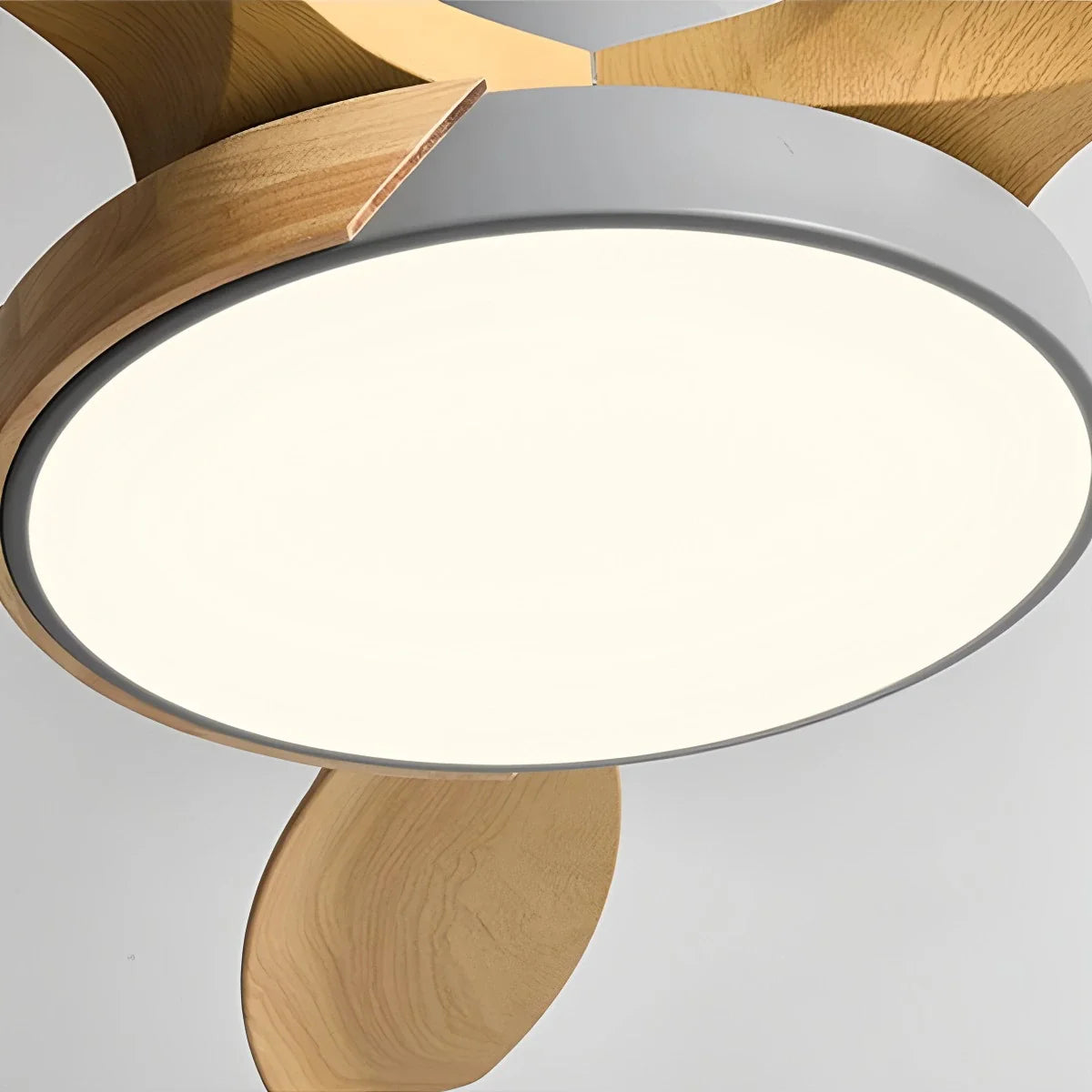 Luvori Nordic Living Room Ceiling Fan with Light
