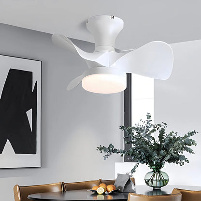 Eloer Small Propeller Ceiling Fan With Light for Bedroom