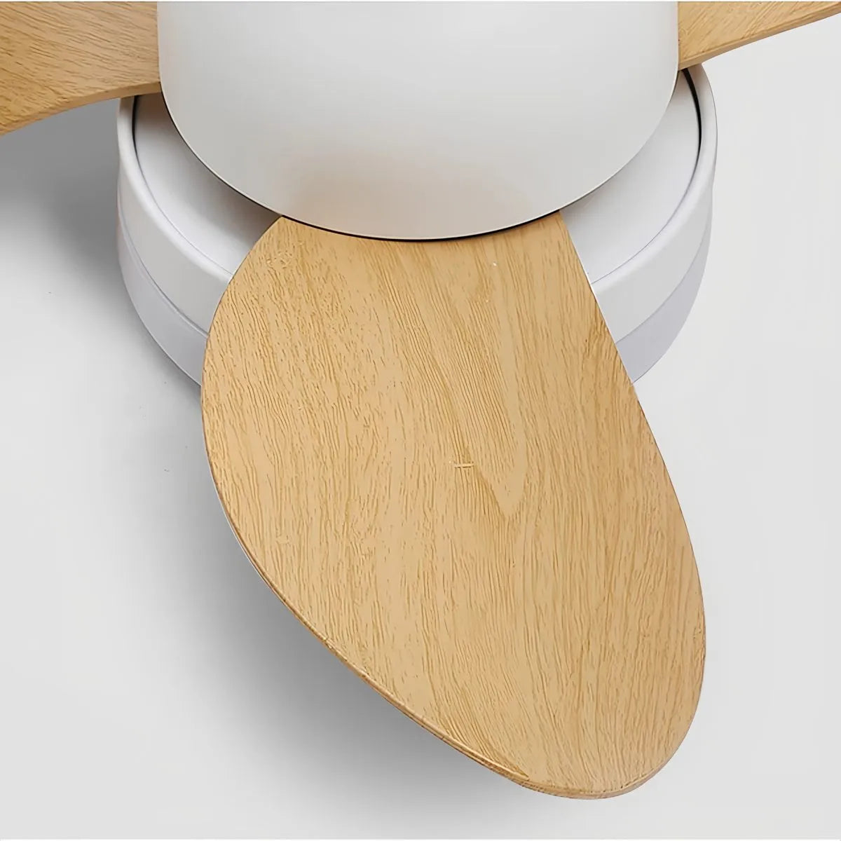 Eloer Small Propeller Ceiling Fan With Light for Bedroom