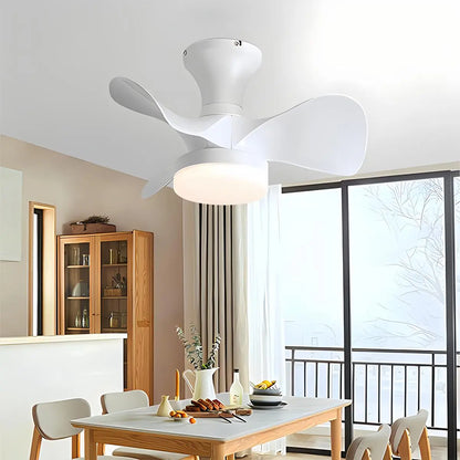 Eloer Small Propeller Ceiling Fan With Light for Bedroom