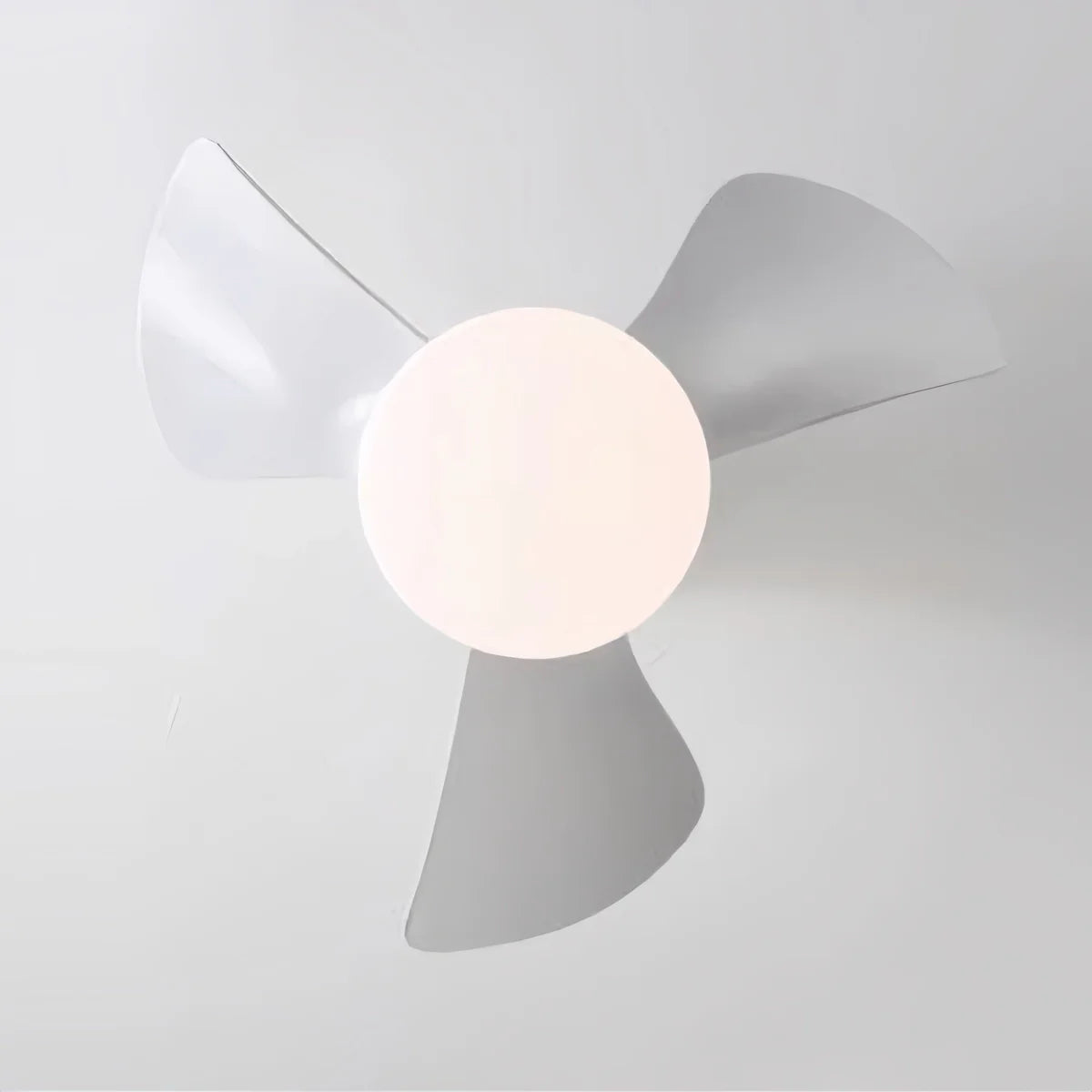 Eloer Small Propeller Ceiling Fan With Light for Bedroom