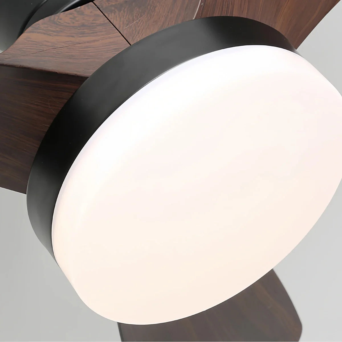 Eloer Small Propeller Ceiling Fan With Light for Bedroom