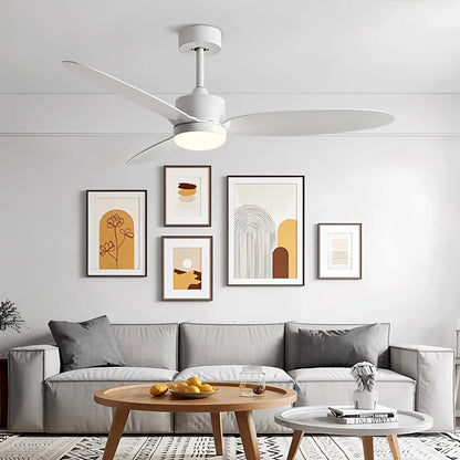 Eloer 3-Blade Ceiling Fan With Light for Bedroom