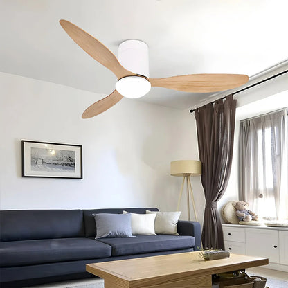 Eloer 3 Blade Modern Ceiling Fan with Light