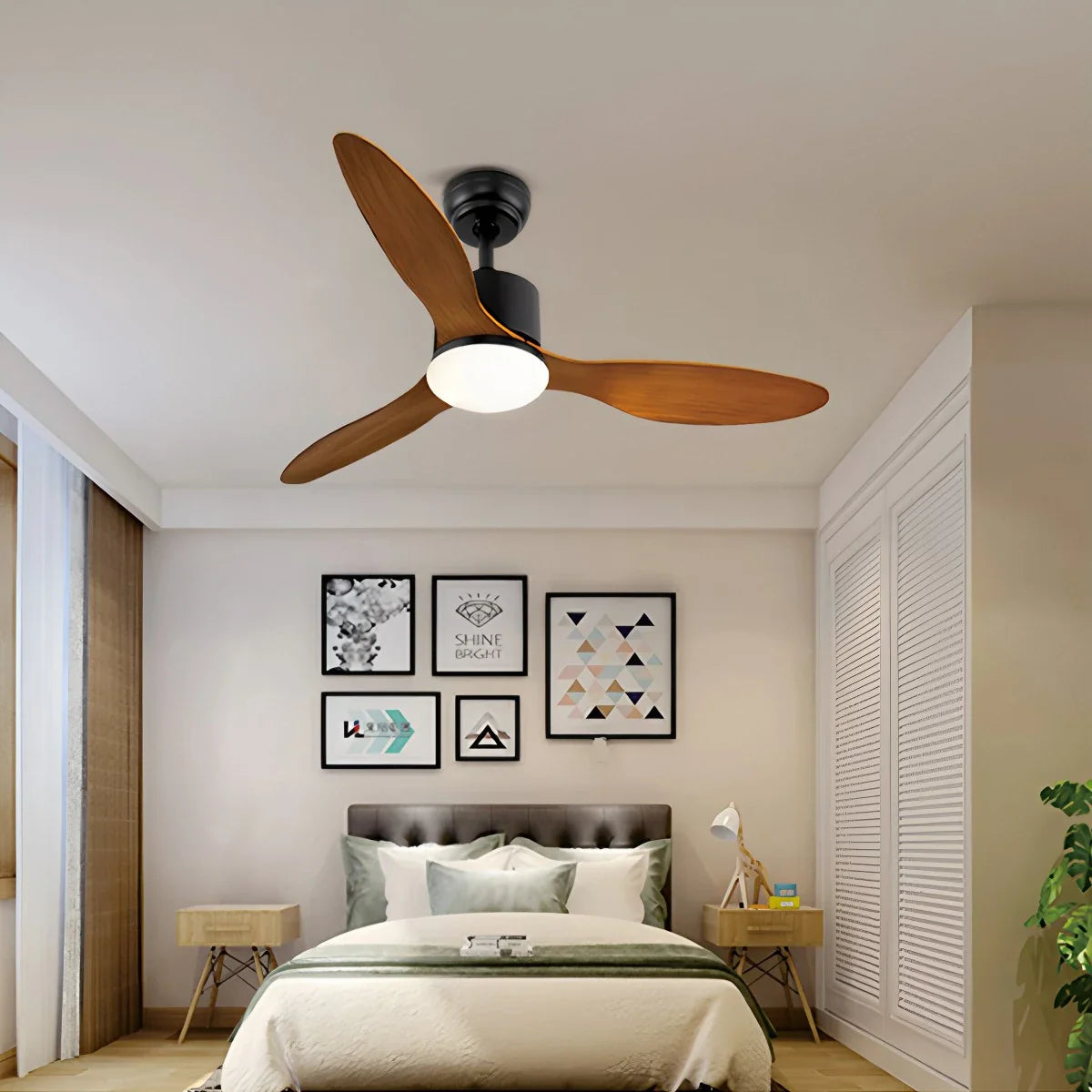 Eloer 3 Blade Modern Ceiling Fan with Light
