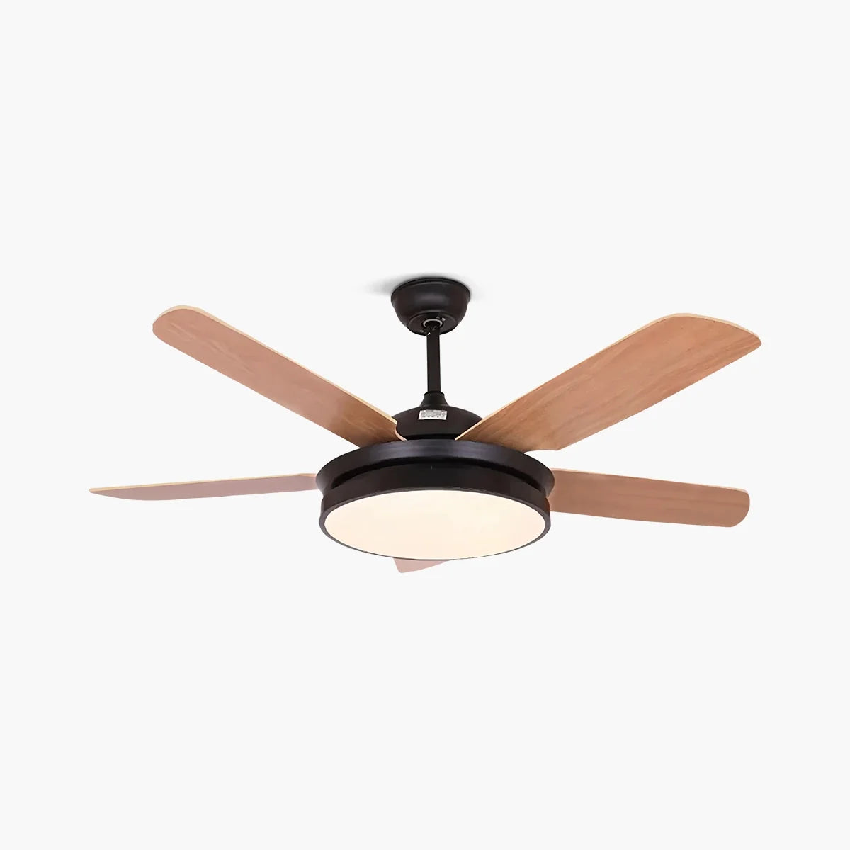 Eloer 5 Blade Ceiling Fan Light for Living Room