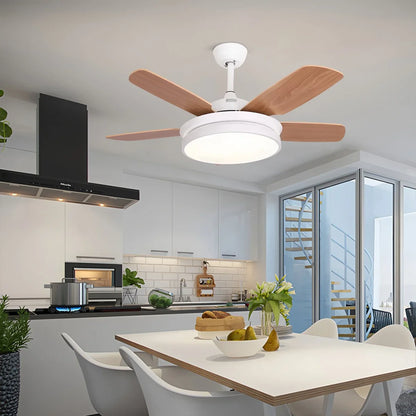 Eloer 5 Blade Ceiling Fan Light for Living Room