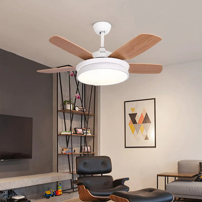 Eloer 5 Blade Ceiling Fan Light for Living Room