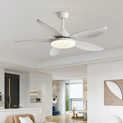 Eloer 5 Blade Contemporary Ceiling Fan Lamp