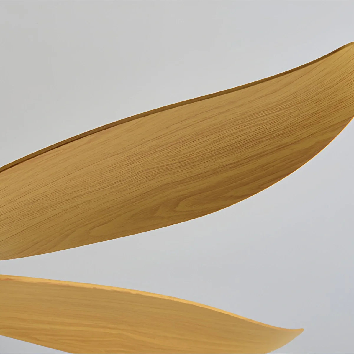 Eloer 5 Blade Contemporary Ceiling Fan Lamp