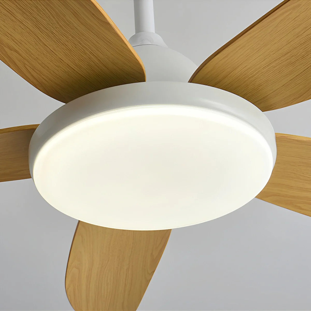 Eloer 5 Blade Contemporary Ceiling Fan Lamp
