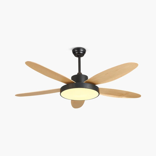 Eloer 5 Blade Modern Ceiling Fan Lamp for Living Room