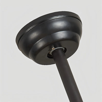 Eloer 5 Blade Modern Ceiling Fan Lamp for Living Room