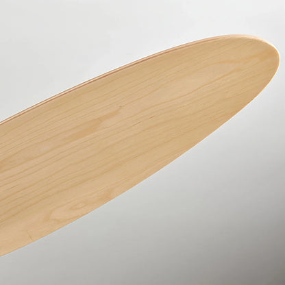 Eloer 5 Blade Modern Ceiling Fan Lamp for Living Room