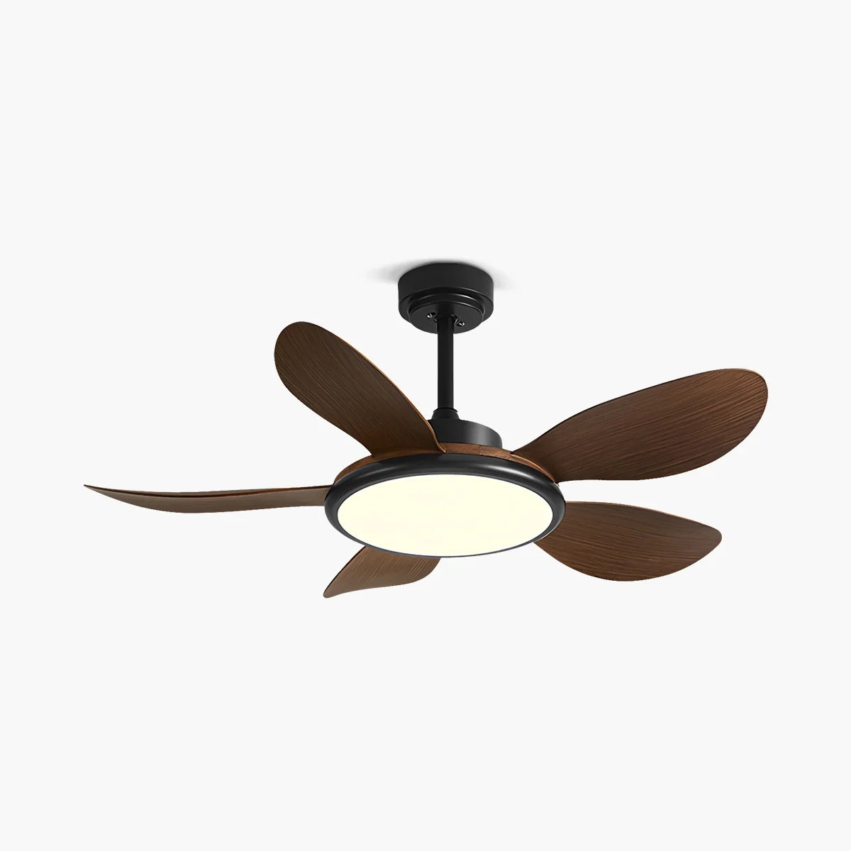 Eloer 5-Blade Wood Ceiling Fan with Light for Living Room