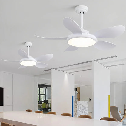 Eloer 5-Blade Wood Ceiling Fan with Light for Living Room