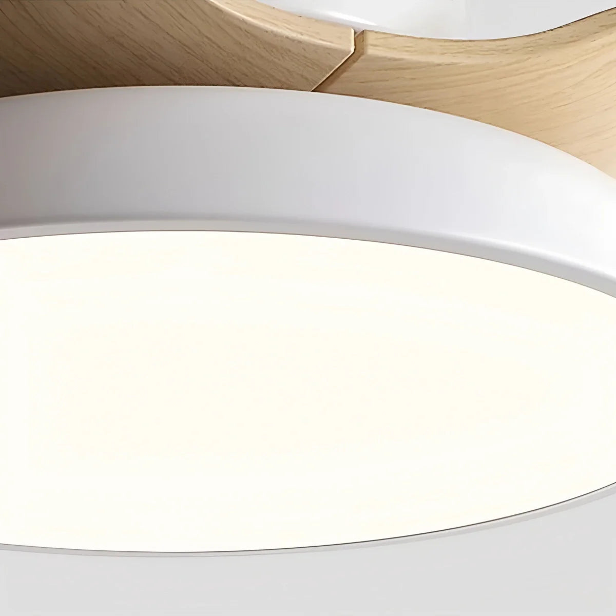 Eloer American Retro Ceiling Fan With Light