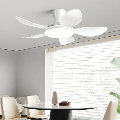 Eloer Silent Remote Control LED Ceiling Fan Light
