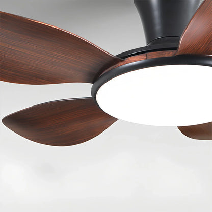 Eloer Silent Remote Control LED Ceiling Fan Light