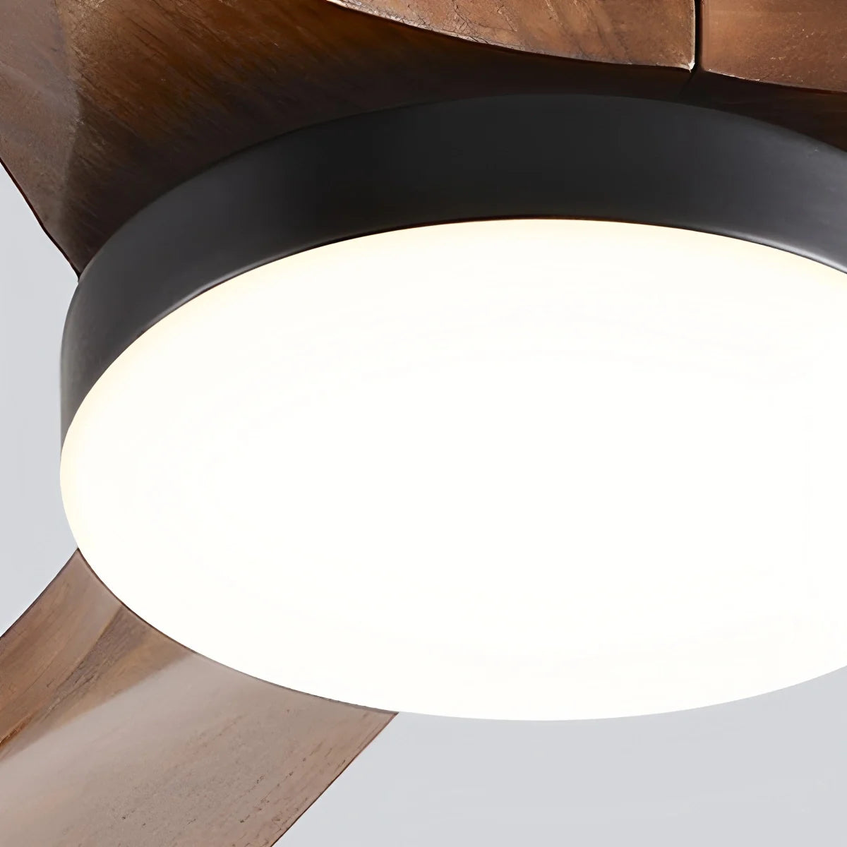 Eloer Large Low Profile Ceiling Fan with Light