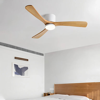 Eloer Large Low Profile Ceiling Fan with Light