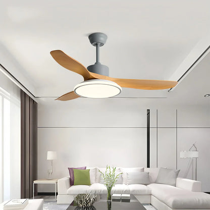 Eloer Modern 3 Blade Ceiling Fan with Light