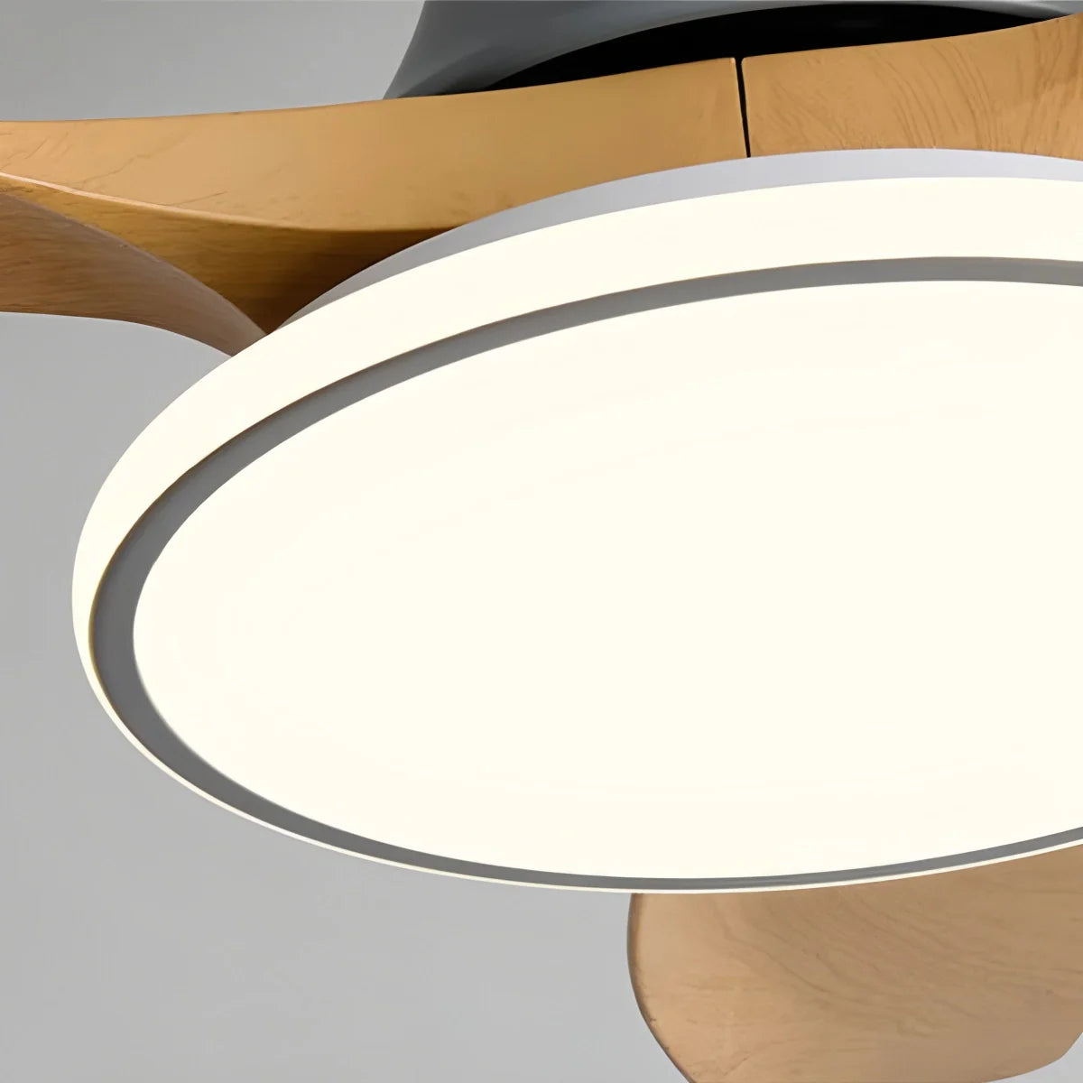 Eloer Modern 3 Blade Ceiling Fan with Light