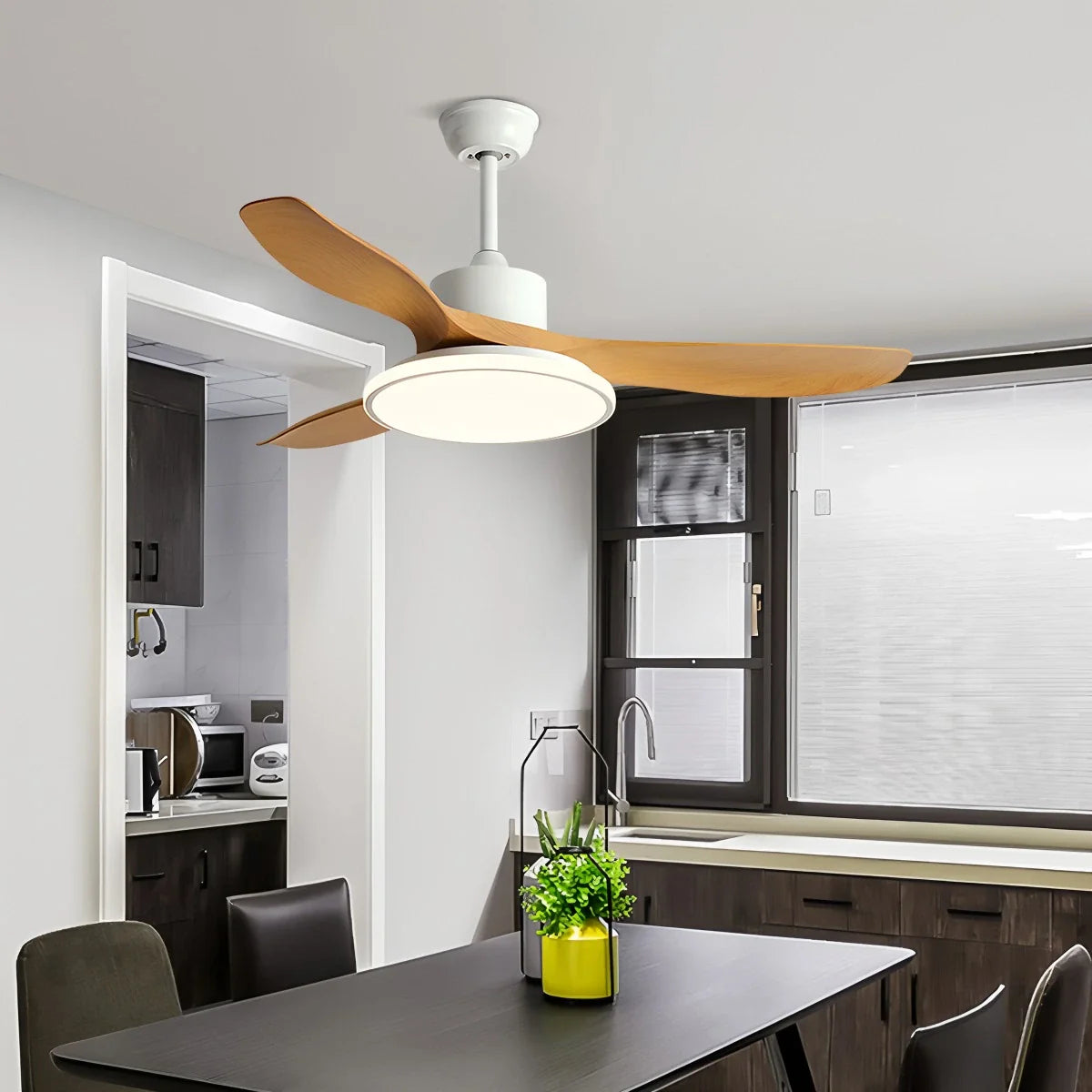 Eloer Modern 3 Blade Ceiling Fan with Light