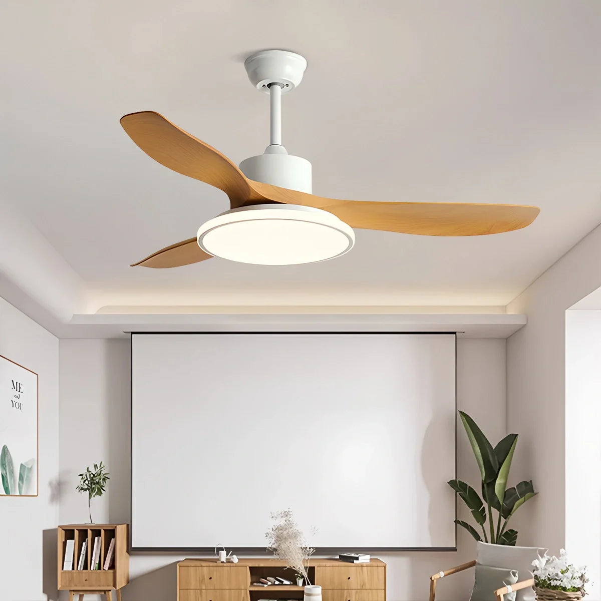 Eloer Modern 3 Blade Ceiling Fan with Light
