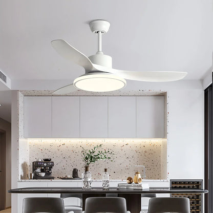 Eloer Modern 3 Blade Ceiling Fan with Light