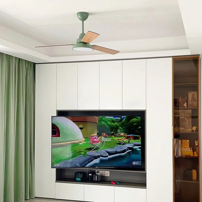 Eloer Modern Minimalist Three Leaf Ceiling Fan Light