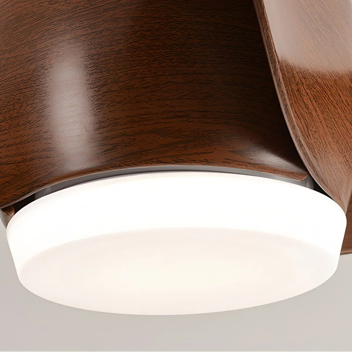 Eloer Propeller Ceiling Fan Lamp for Dining Room