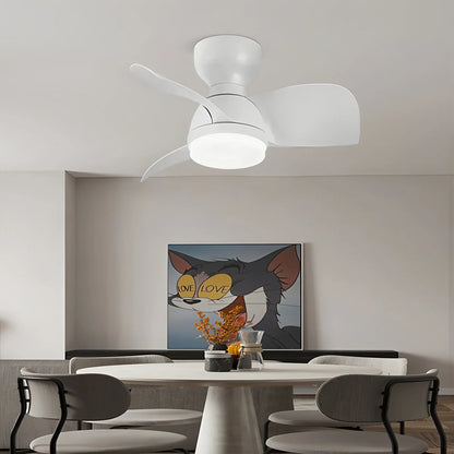 Eloer Small Flush Mount Ceiling Fan with Light