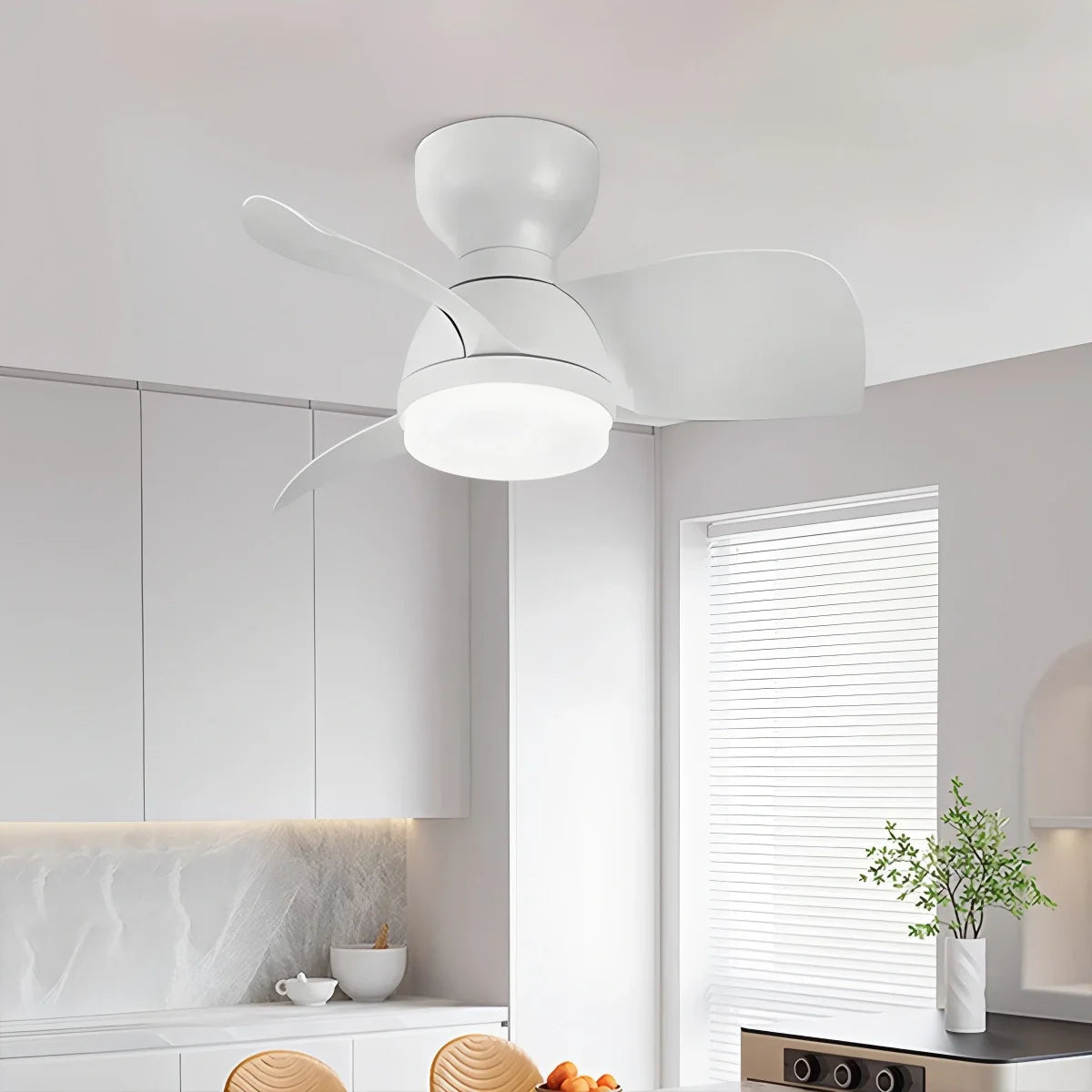 Eloer Small Flush Mount Ceiling Fan with Light