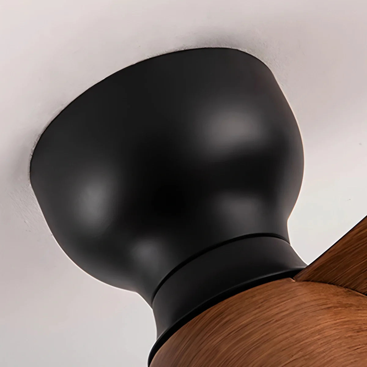 Eloer Small Flush Mount Ceiling Fan with Light