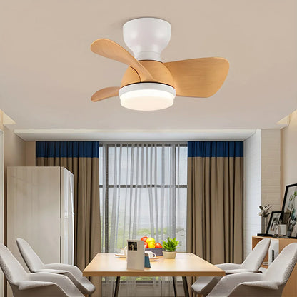 Eloer Small Flush Mount Ceiling Fan with Light