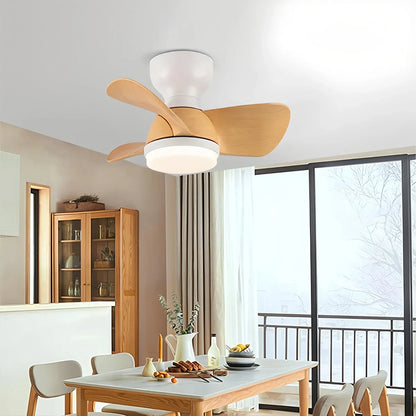 Eloer Small Flush Mount Ceiling Fan with Light