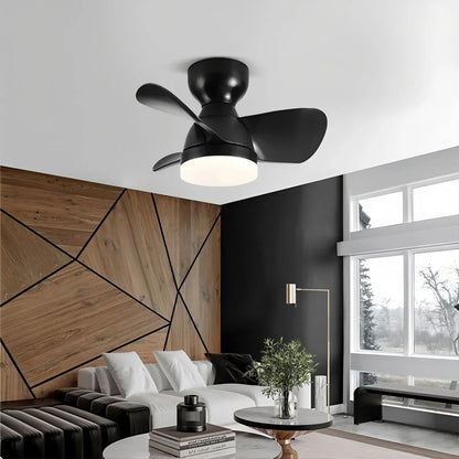 Eloer Small Flush Mount Ceiling Fan with Light