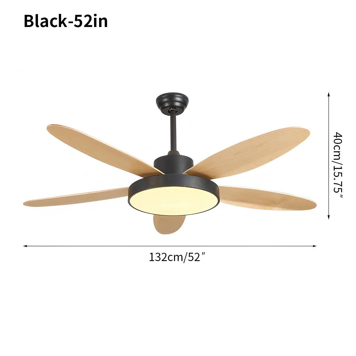 Eloer 5 Blade Modern Ceiling Fan Lamp for Living Room