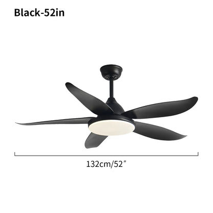 Eloer 5 Blade Contemporary Ceiling Fan Lamp