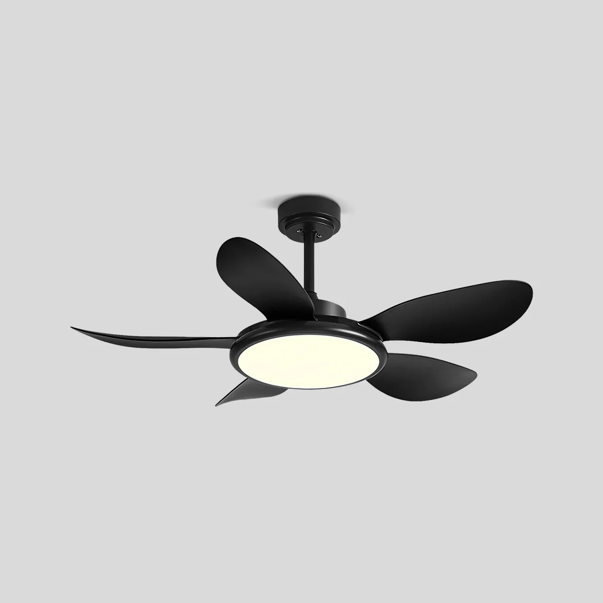 Eloer 5-Blade Wood Ceiling Fan with Light for Living Room