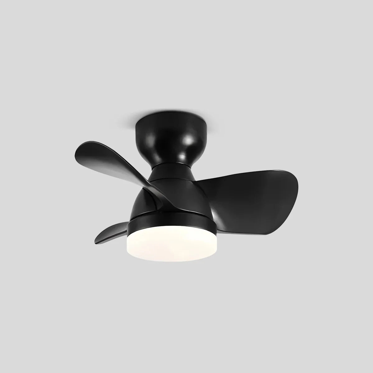 Eloer Small Flush Mount Ceiling Fan with Light